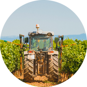 Crop-Protection Crop-Protection