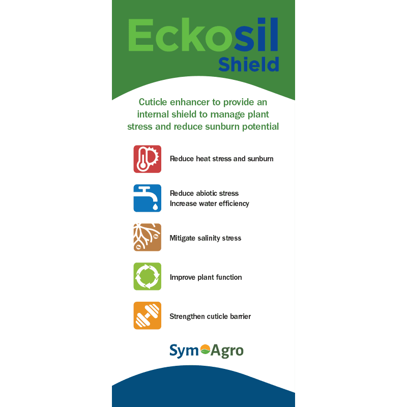 Eckosil banner