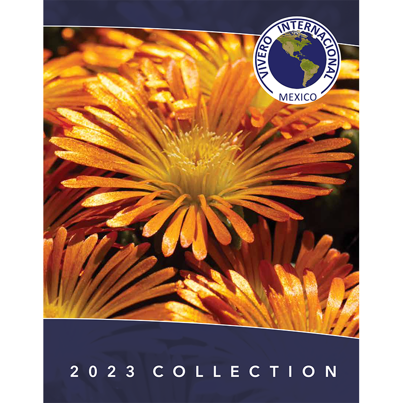 2023 Vivero catalog